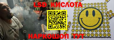 apvp Краснодар