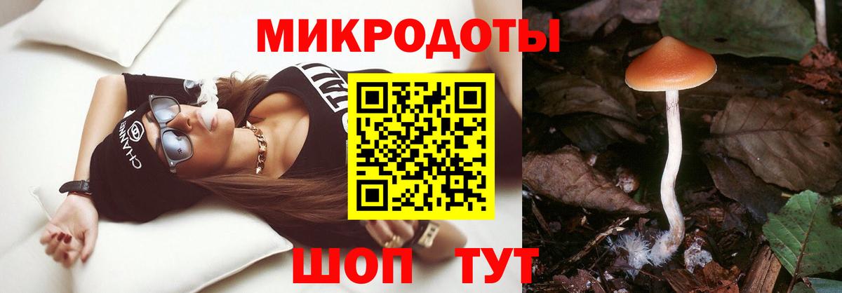 Псилоцибиновые грибы MAGIC MUSHROOMS  Вход с VPN  Кизилюрт 